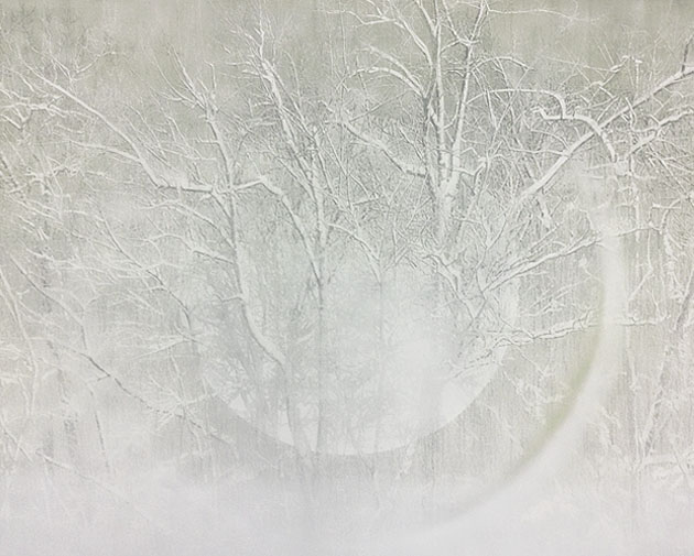 15_in100gensetsu_2015