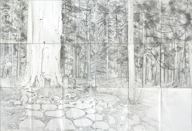 sk_hagurosangoshinboku