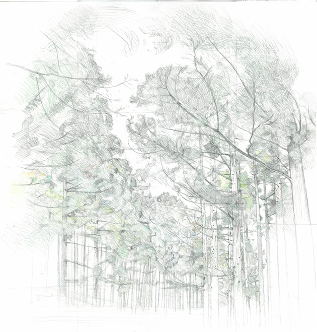 sk_hagurosansugibayashi